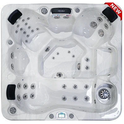 Avalon-X EC-849LX hot tubs for sale in Atlanta